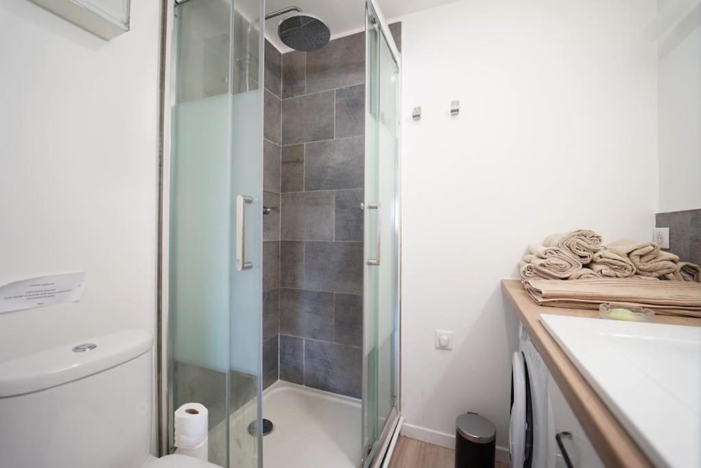 L'Appartement Lafayette آنسي المظهر الخارجي الصورة